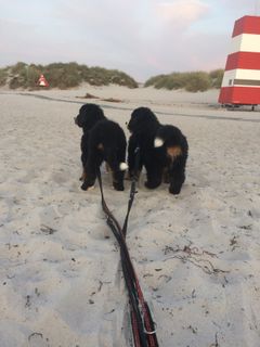 Aisha og Amas på stranden